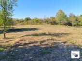 Two adjacent plots for sale in the village of Plakovo