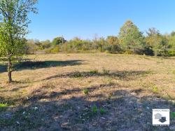 Two adjacent plots for sale in the village of Plakovo