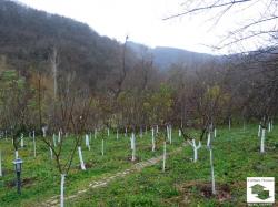 Unique, regulated plot of land in a picturesque mountainous village, only 15 km away from Veliko Tarnovo