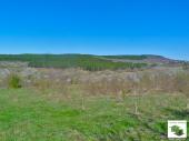 Regulated plot for sale in the village of Malki Chiflik, only 5 km away from Veliko Tarnovo