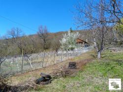 Парцел в атрактивно село само на 5 км от Велико Търново