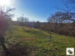 Large fenced plot with fruit trees, located in the village of Zaya, only 20 km south of Veliko Tarnovo