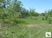 Regulated flat plot set in the village of Belyakovets 2 km away from Veliko Tarnovo