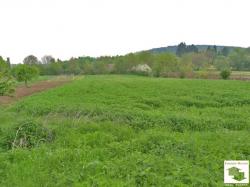 Земельный участок в регулации в селе Добри дял в 18 км г. Велико Тырново
