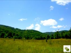 Большой земельный участок с красивой панорамой в живописном и тихом селе в 20 минутах к югу от Велико Тырново