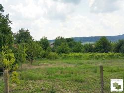 Panoramic plot in regulation in the village of Dragizhevo
